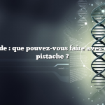 Réponse rapide : que pouvez-vous faire avec des coques de pistache ?